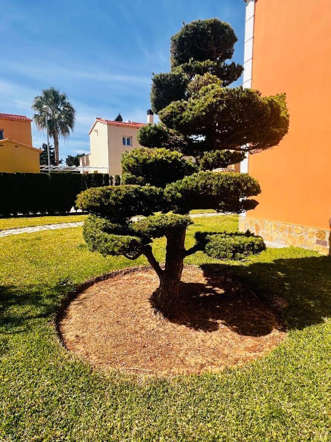 Oliva Nova Beach & Golf Resort Club Sevilla VI Exteriér fotografie